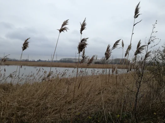 Plains of Zwijndrecht, Antwerp (Belgium)